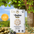 Huile d'Olive MagnaSur 2.5L Espagne